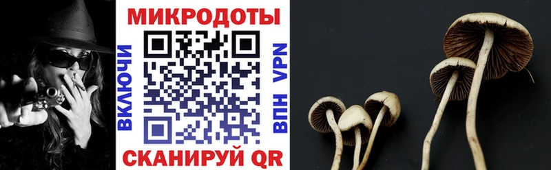 блэк спрут ТОР  Приморско-Ахтарск  Галлюциногенные грибы Psilocybine cubensis 
